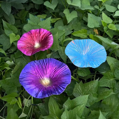Bienenblüte Keramik-Tränke